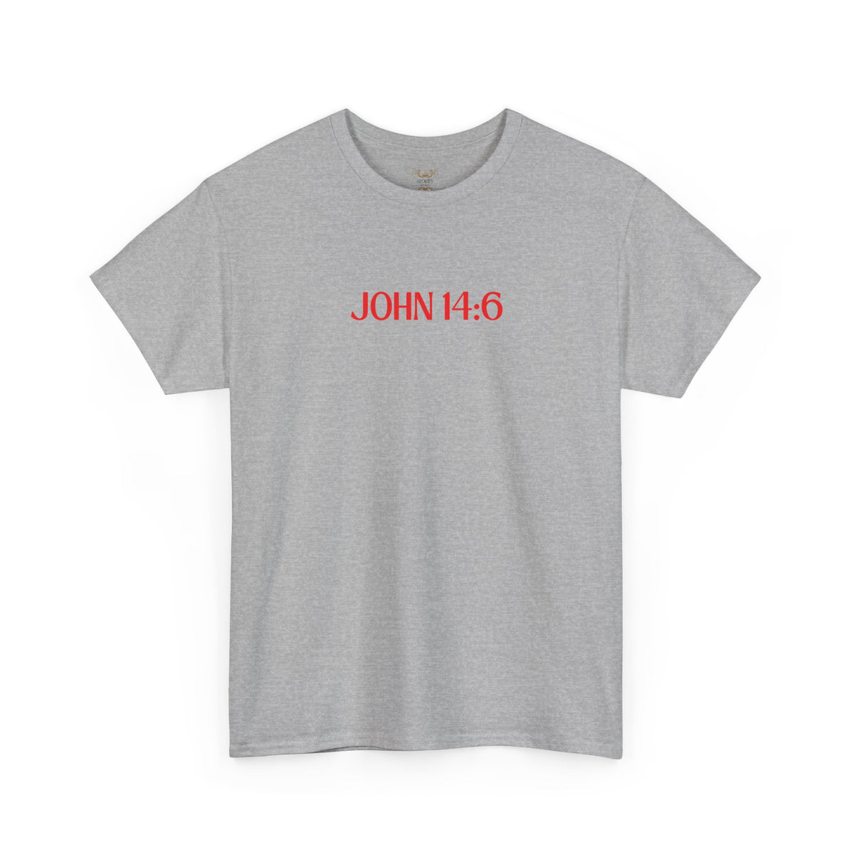 "Jesus Is The Answer" T-SHIRT