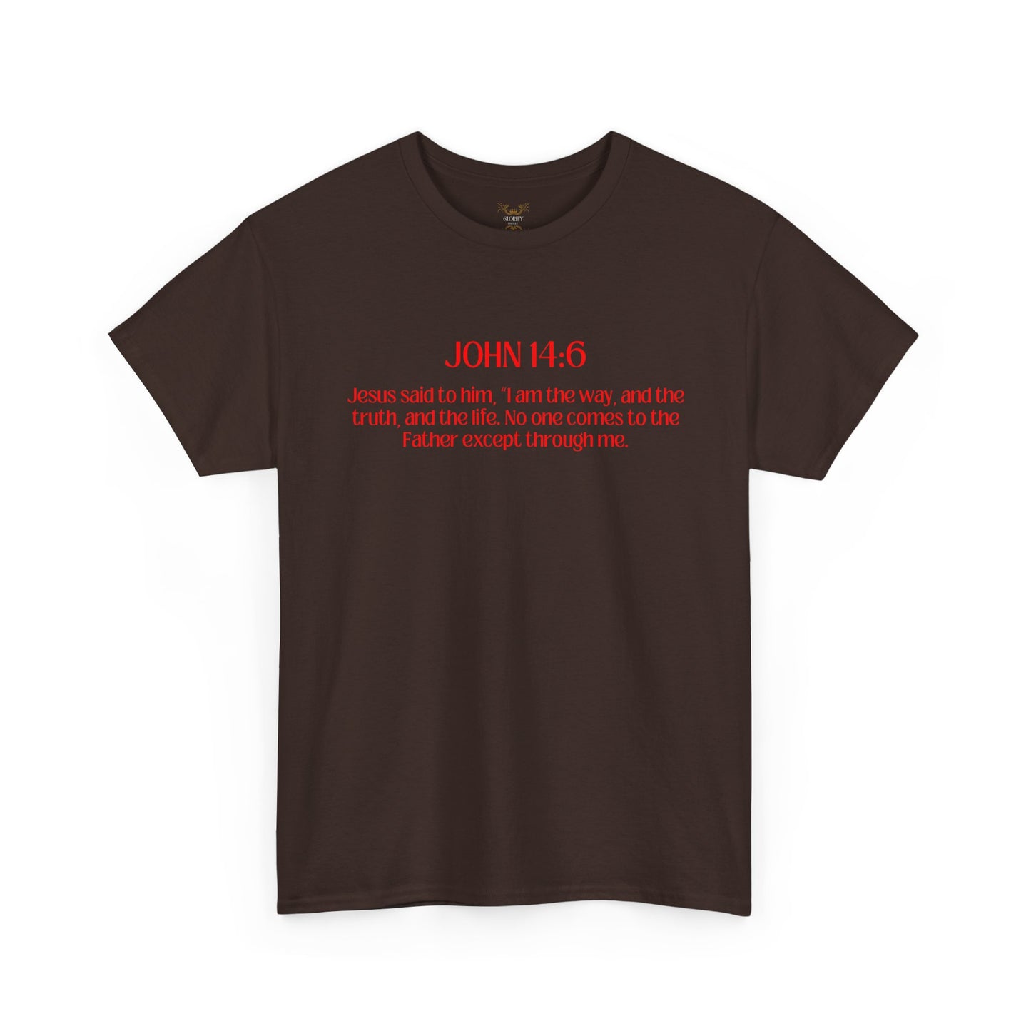 "Jesus Is The Answer" T-SHIRT