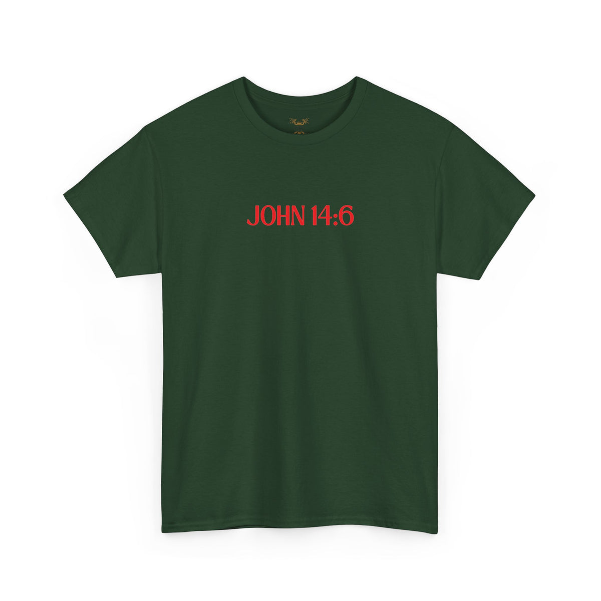 "Jesus Is The Answer" T-SHIRT