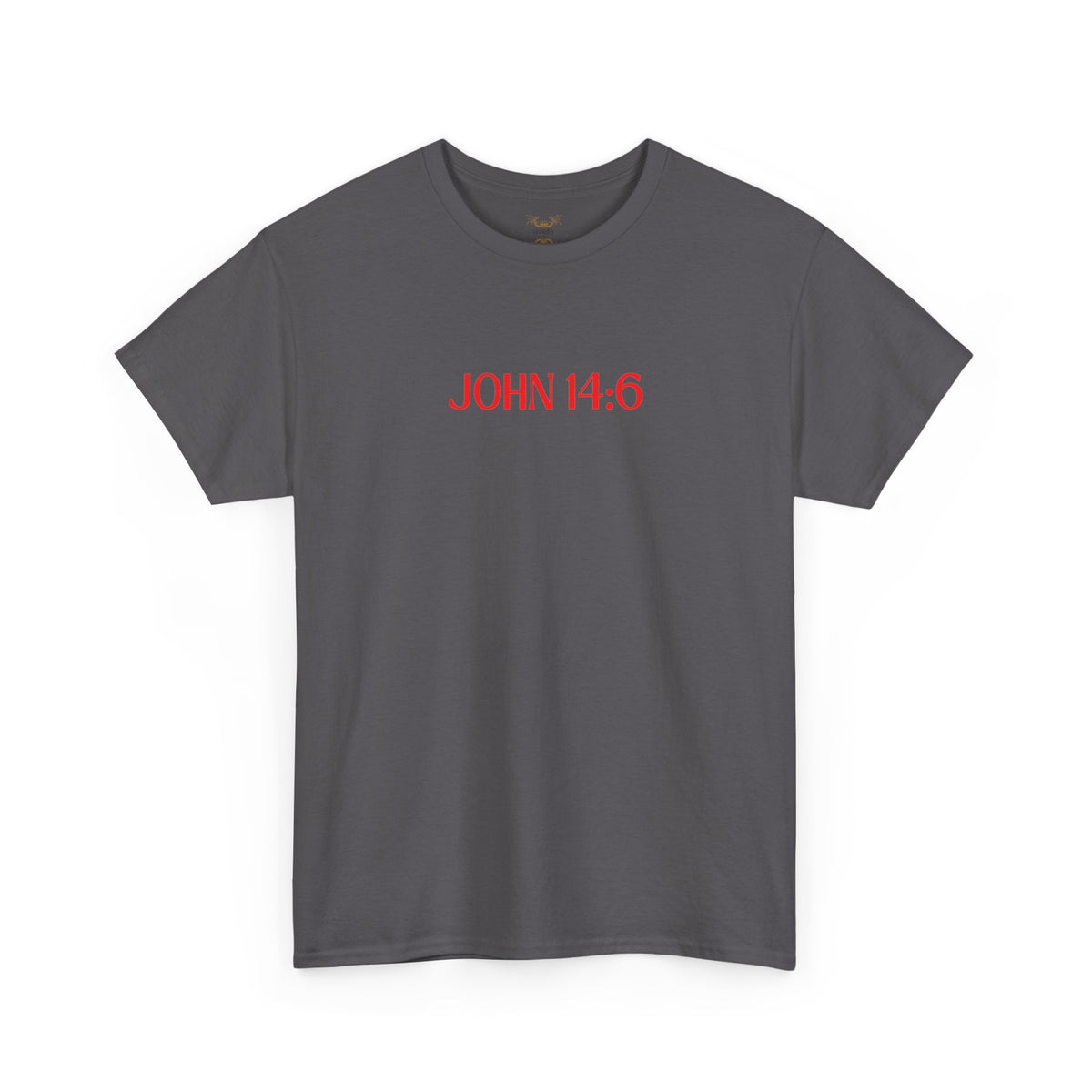 "Jesus Is The Answer" T-SHIRT