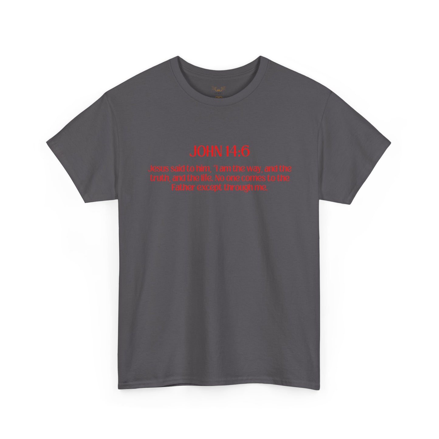 "Jesus Is The Answer" T-SHIRT