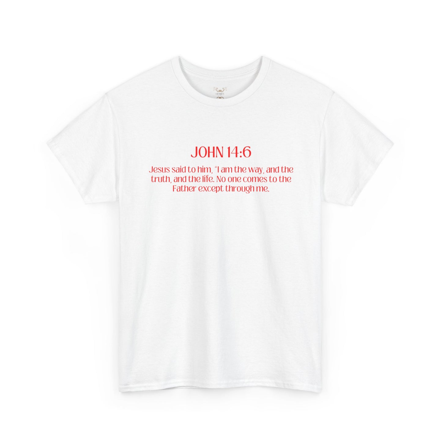 "Jesus Is The Answer" T-SHIRT