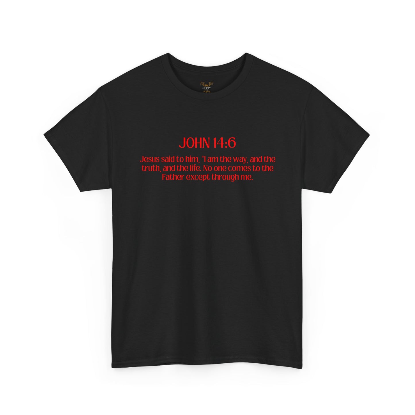 "Jesus Is The Answer" T-SHIRT