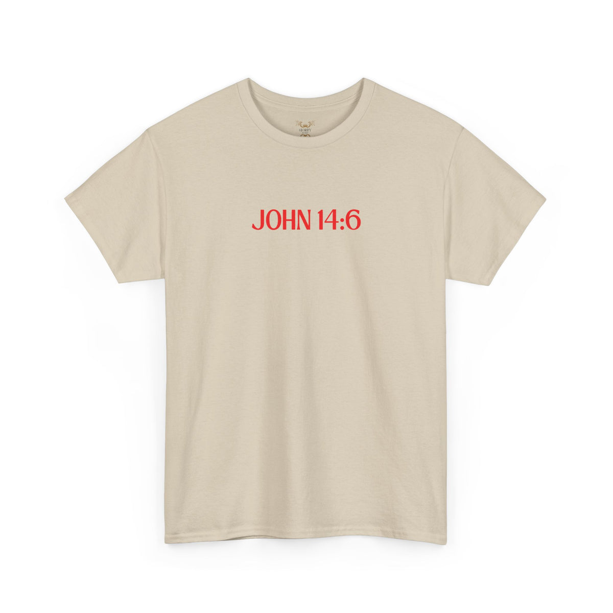 "Jesus Is The Answer" T-SHIRT