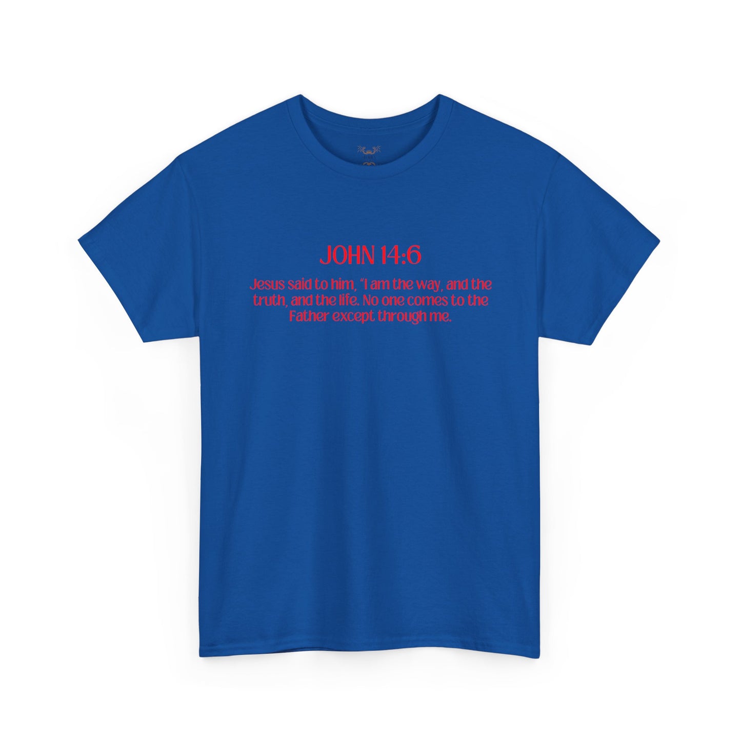 "Jesus Is The Answer" T-SHIRT