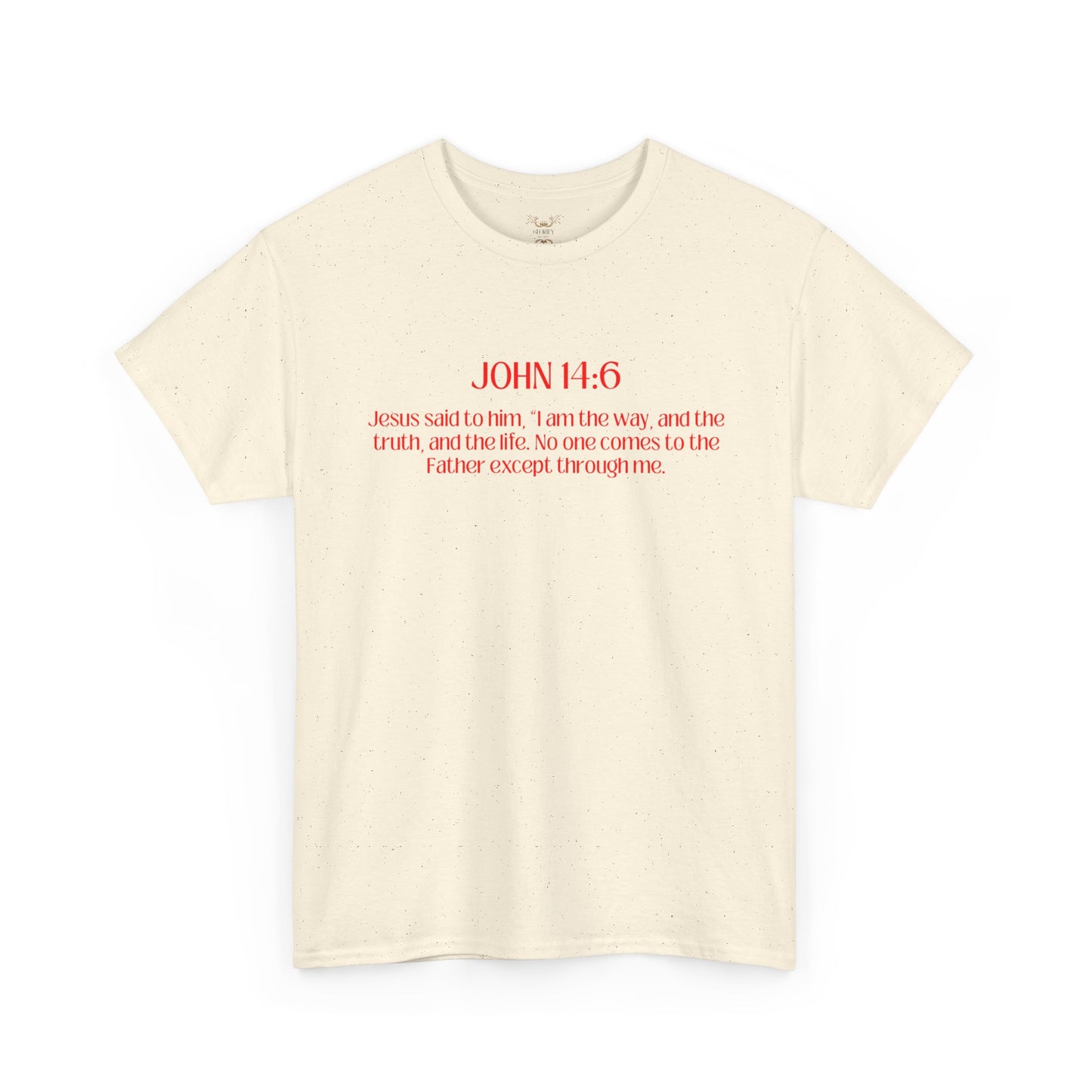 "Jesus Is The Answer" T-SHIRT
