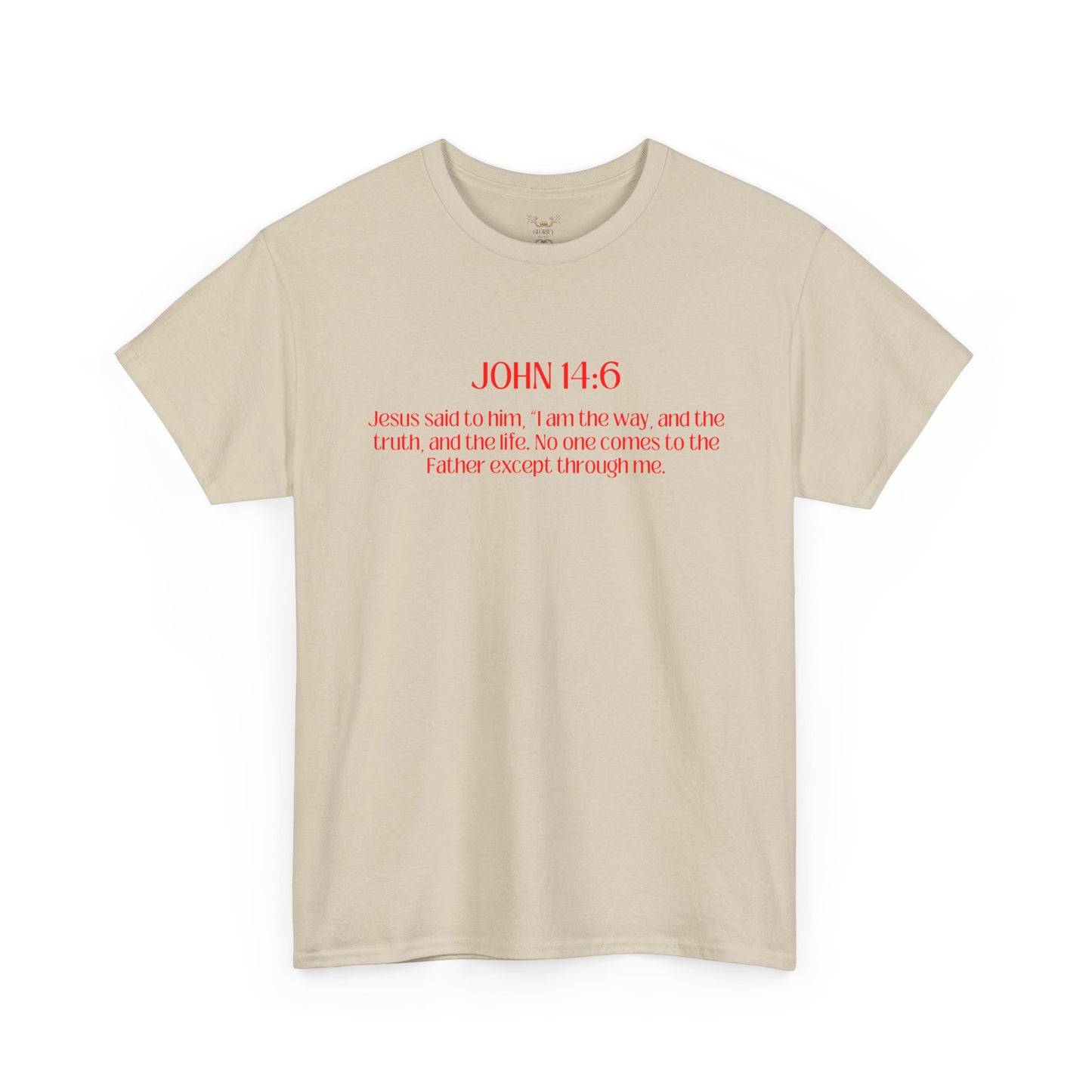 "Jesus Is The Answer" T-SHIRT