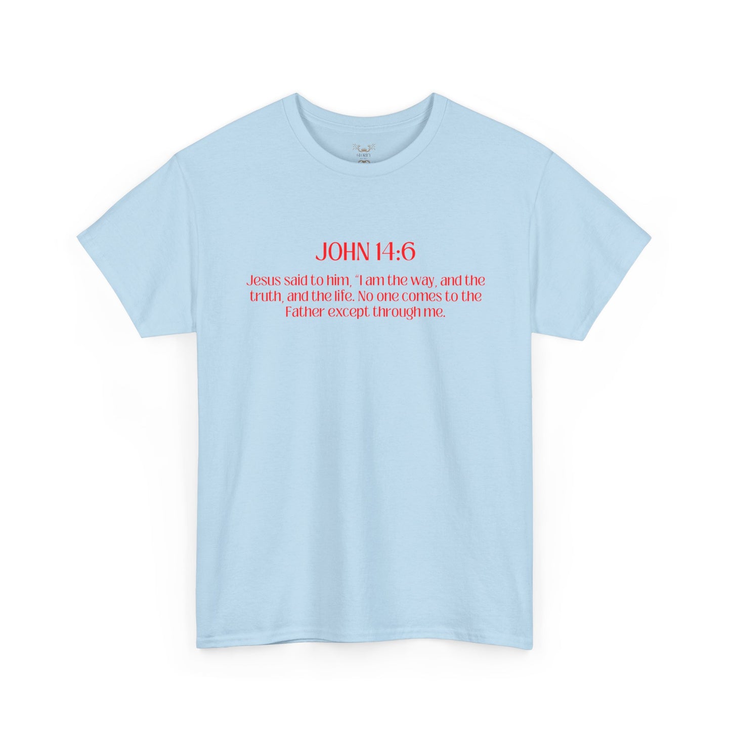"Jesus Is The Answer" T-SHIRT