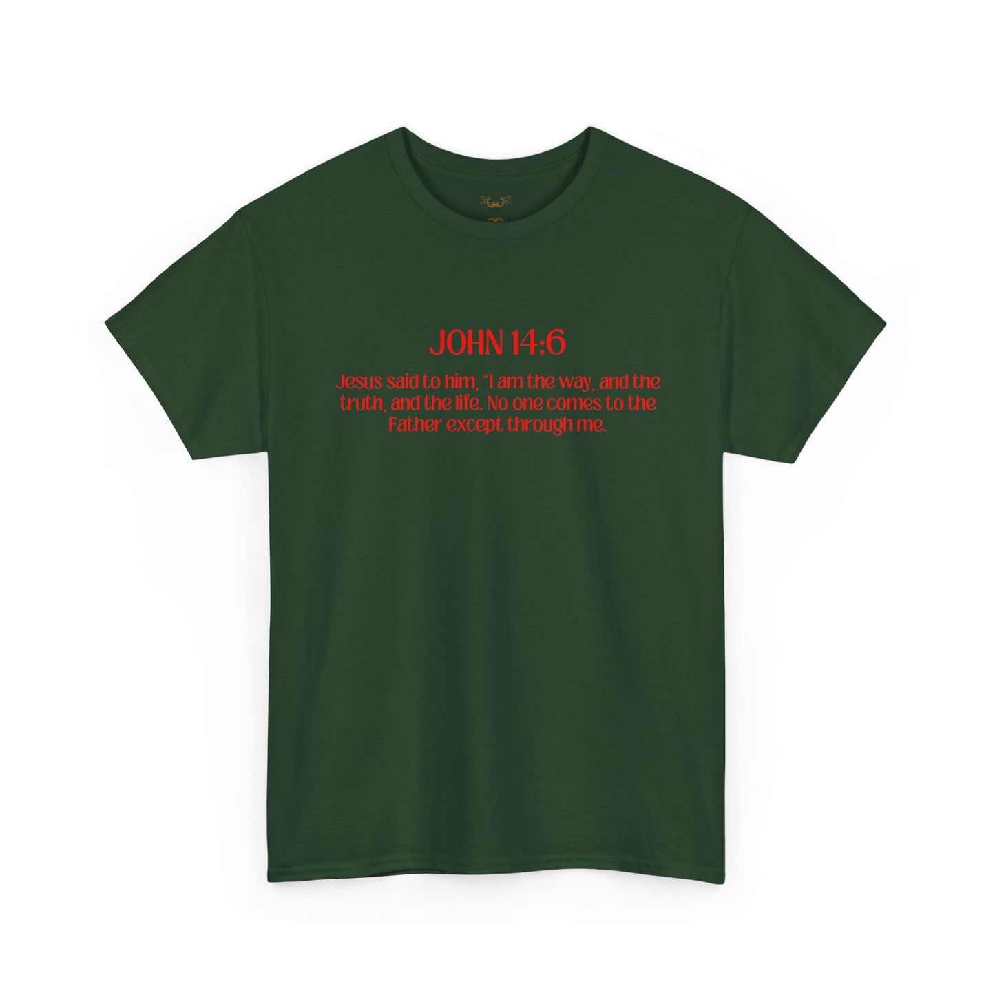 "Jesus Is The Answer" T-SHIRT