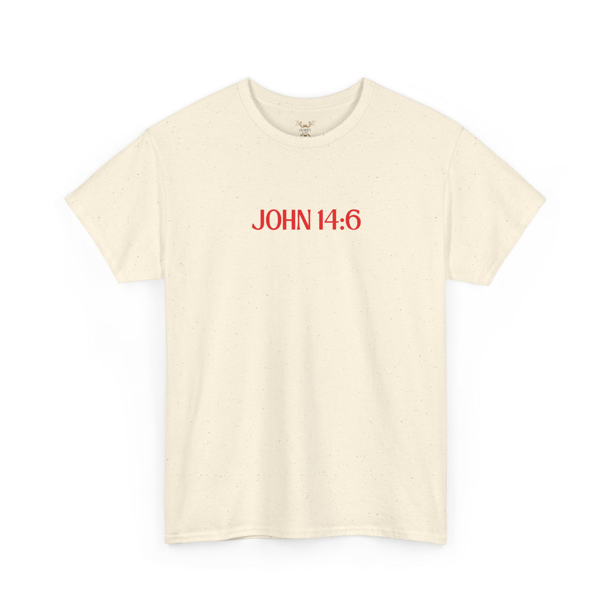 "Jesus Is The Answer" T-SHIRT